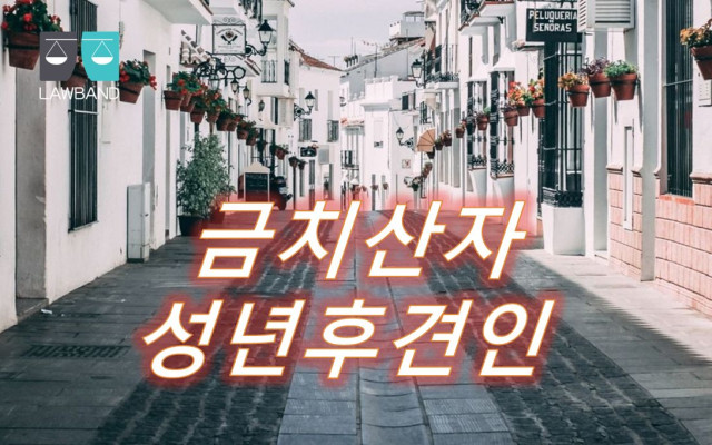 금치산자 제도와 성년후견인은 어떤 제도인가요 ?