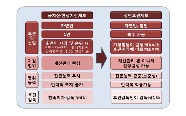 성년후견(금치산자)의 종류