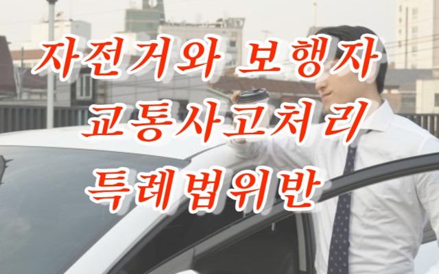 교통사고처리특례법위반 자전거와 보행자 사고 실제 사례