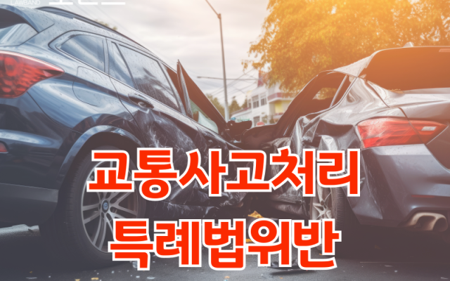 교통사고처리특례법위반 교통사고전문변호사 형사합의 소송 사건