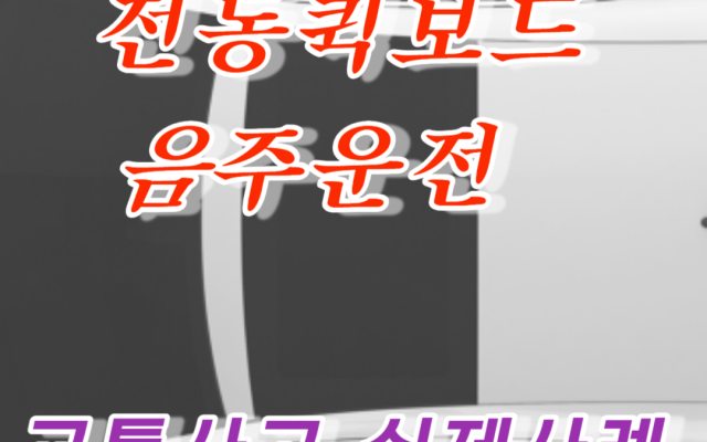 전동퀵보드 음주운전 행위 적발