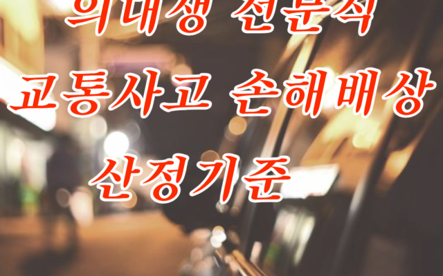 교통사고 의대생 사망 손해배상 산정 기준 사례