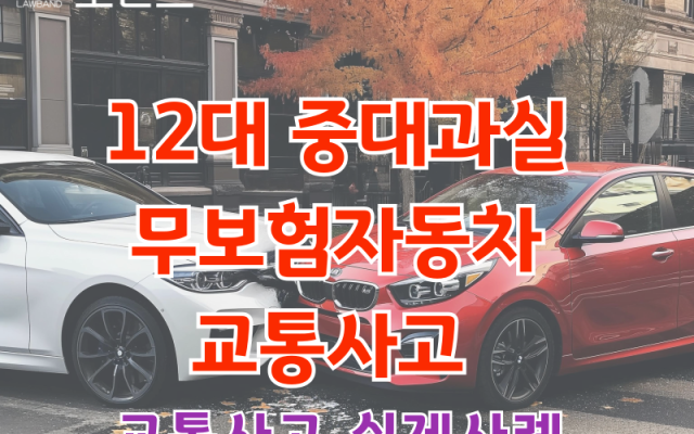 12대 중대과실 무보험자동차 운전자보험 변호사선임비용