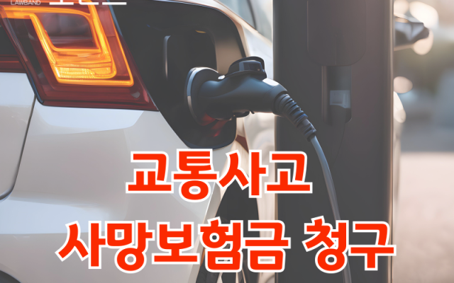 교통사고 사망보험금 청구 교통사고전문변호사 소송 사건