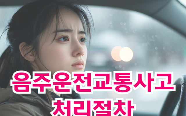 음주운전교통사고 처리절차 (실제사례로 보는 대응 전략)