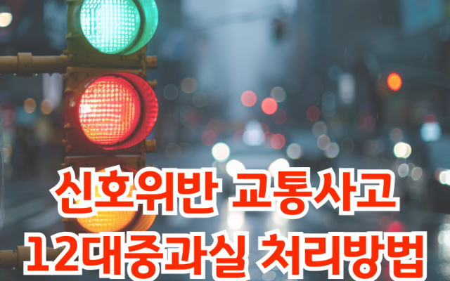 신호위반 교통사고 12대 중과실 처리방법