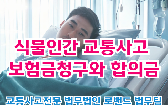 식물인간 교통사고 보험금청구와 합의금,