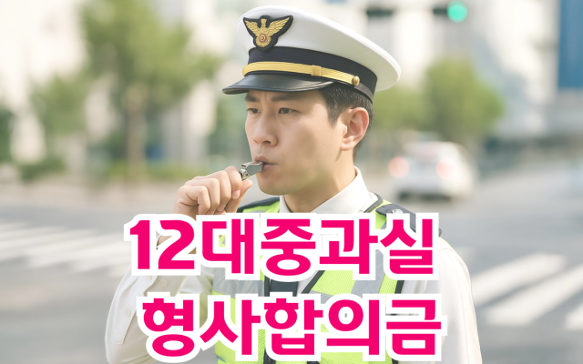 12대중과실 형사합의금 처리절차.