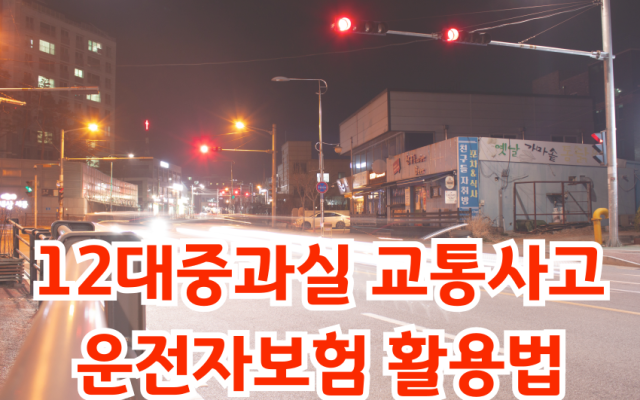 12대 중과실 교통사고, 운전자보험 활용법